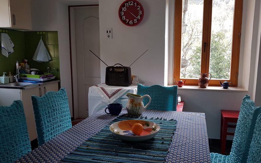 Продается дом и  коммерческое помещение  на 1-й линии в Которе.